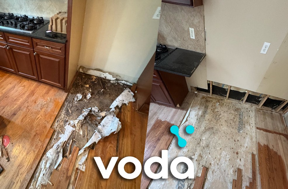 mold